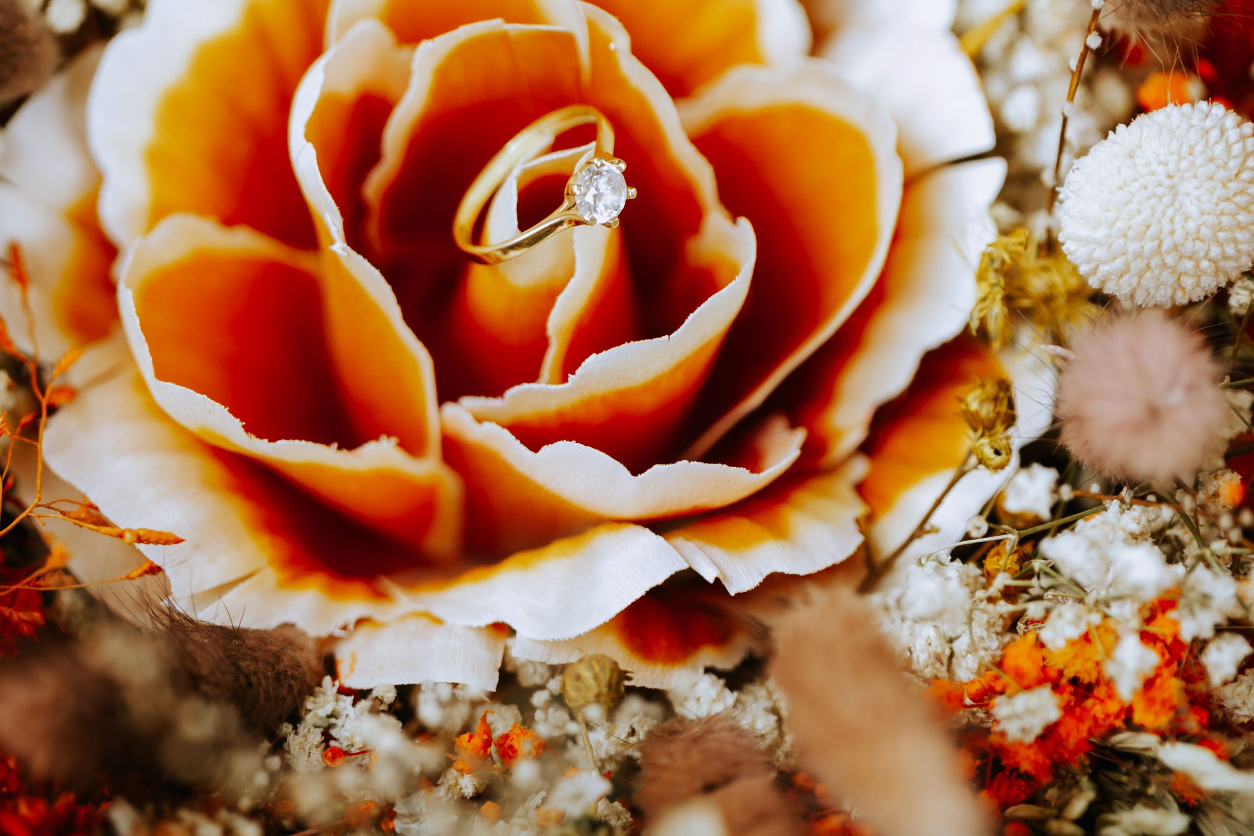 Bague diamant nichée dans une rose vive